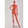 Female Abstract Doll mannequin  Electroplating red blue FC-1X FC-15R