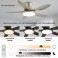SX009-132 dark brown ceiling fan LED lighting 6 speeds, timer summer and winter mode