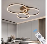 TY4567 LED ceiling light with remote control or app, light color/brightness adjustable, acrylic edge and metal frame