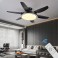 SX009-132 dark brown ceiling fan LED lighting 6 speeds, timer summer and winter mode