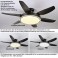 SX009-132 dark brown ceiling fan LED lighting 6 speeds, timer summer and winter mode