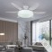 SX009-132 dark brown ceiling fan LED lighting 6 speeds, timer summer and winter mode