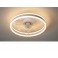 fanlight Ceiling lamp with fan LED ceiling lamp remote control light color / brightness adjustable dimmable 6 wind speed 