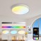 LED Deckenleuchte RGBIC mit APP & Fernbedienung, dimmbar 10–100%, 1800–12000K dynamische Himmel- & Naturlichteffekte