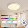 LED Deckenleuchte RGBIC mit APP & Fernbedienung, dimmbar 10–100%, 1800–12000K dynamische Himmel- & Naturlichteffekte