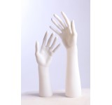 D3/4 white Pair of Hands 