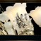 Kronleuchter SS107-6fl  Luxus  Design   Kristall ,Glas, Metall E14