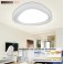 LED ceiling light 2111 white with remote control light color / brightness adjustable  Energy efficiency class: A +
