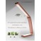 LED Tischleuchte. Sparsamer Verbauch, 6 Watt. Dimmbar & Farbton Einstellbar!