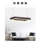 LED pendant lamp DD146 with remote control light color / brightness adjustable A +